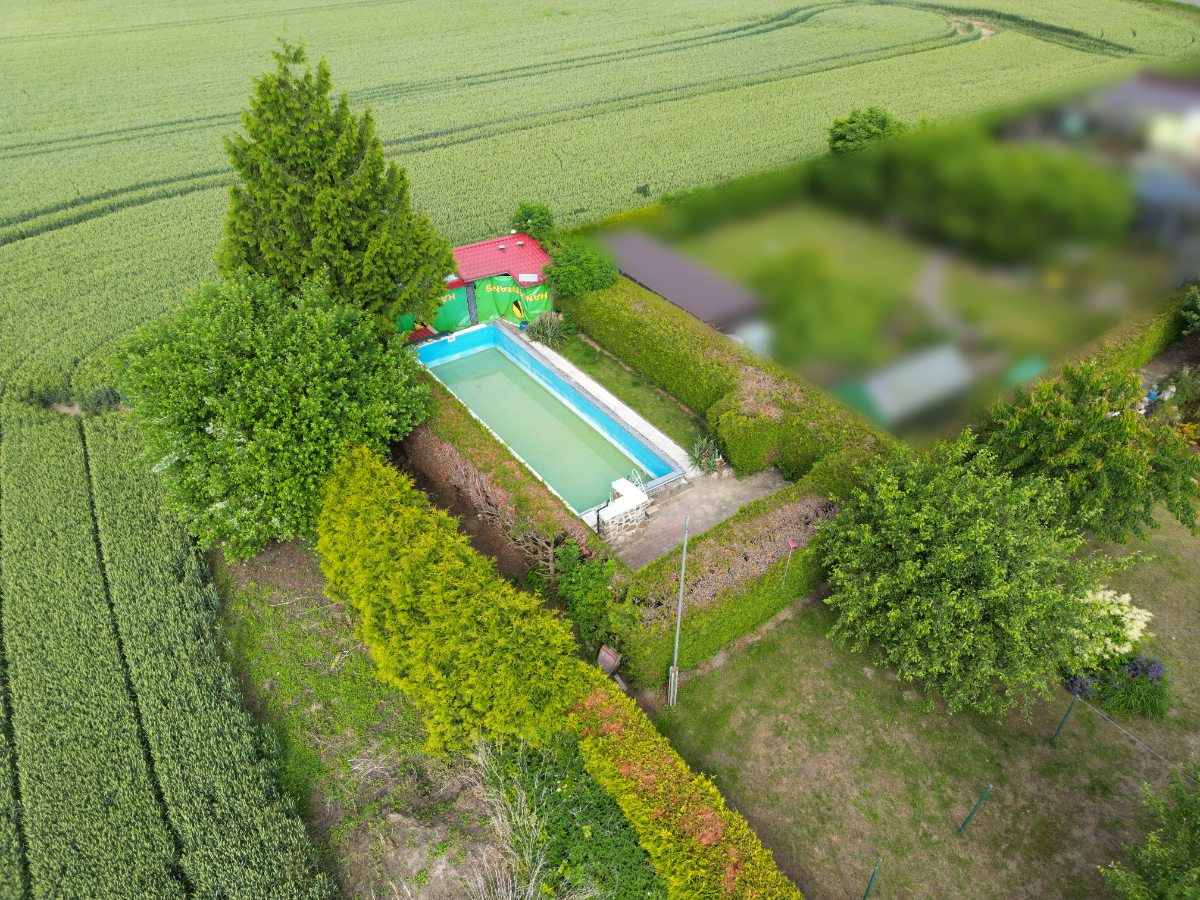 compressed_image (1)